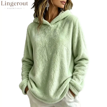 Multi-Color Fuzzy Fleece Hooded Casual Sweatshirt